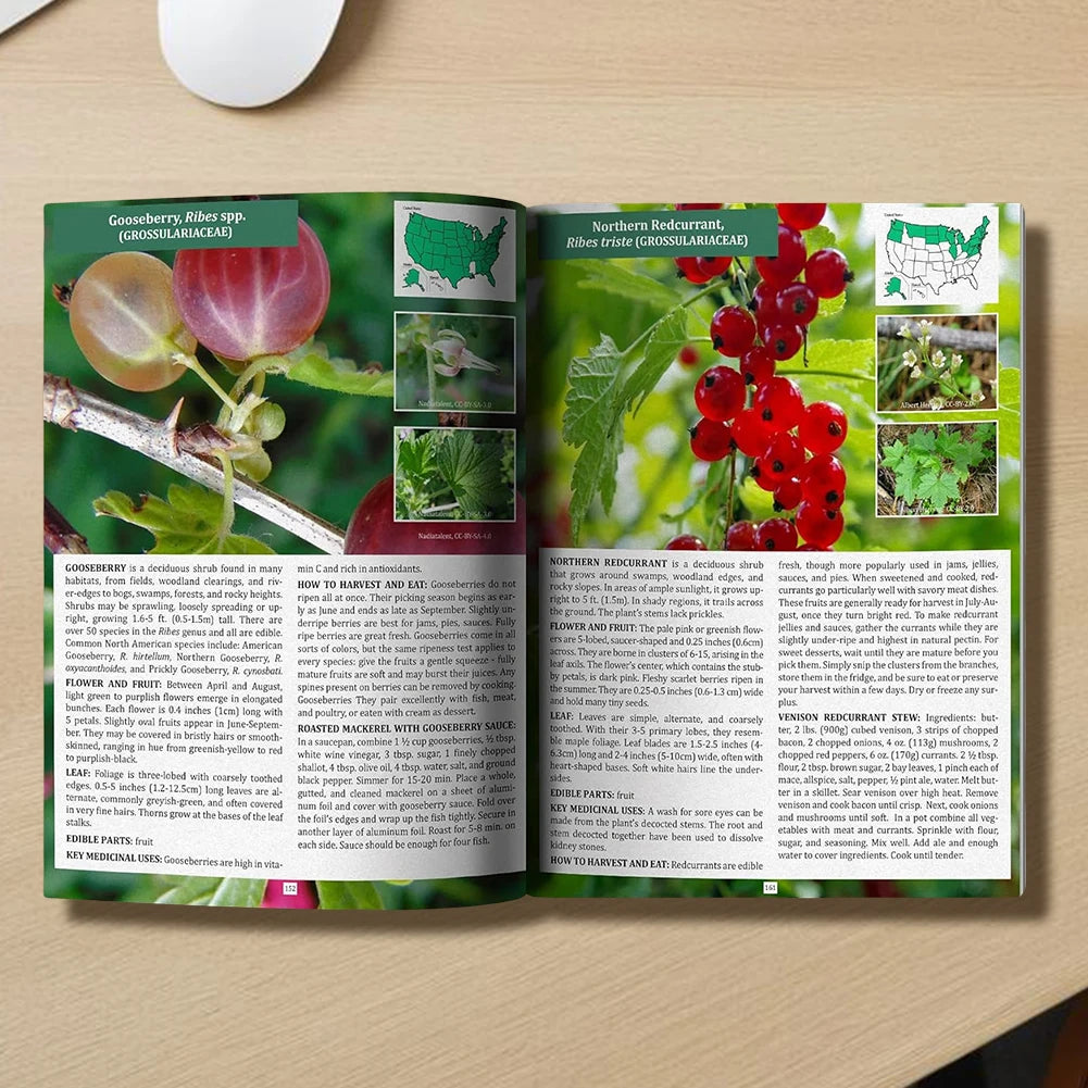 1-2PCS The Foragers Guide to Wild Foods Herbal Remedies Identify Wild Food Outdoor Survival Skills Color Inner Pages Books