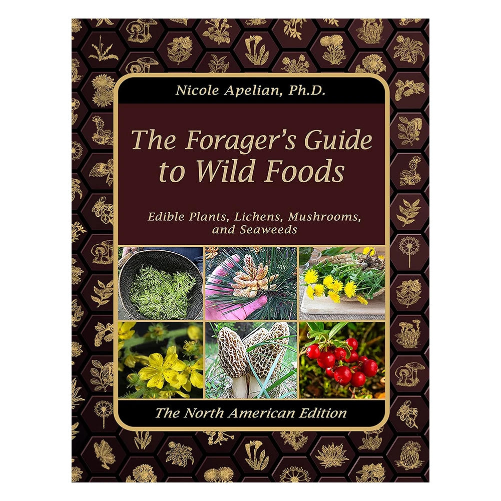 1-2PCS The Foragers Guide to Wild Foods Herbal Remedies Identify Wild Food Outdoor Survival Skills Color Inner Pages Books