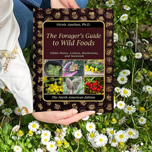 1-2PCS The Foragers Guide to Wild Foods Herbal Remedies Identify Wild Food Outdoor Survival Skills Color Inner Pages Books