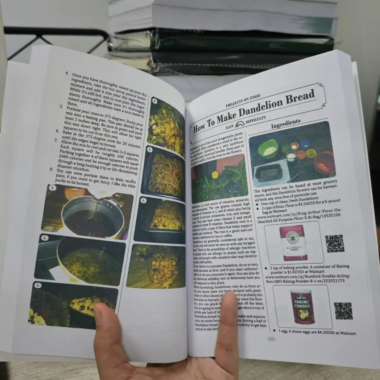 NO GRID Survival Projects How To Produce Everything You Need On Your Property Paperback Book In English