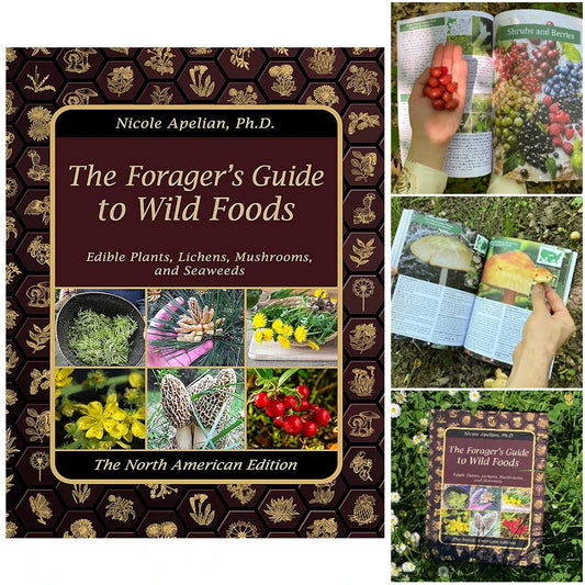1-2PCS The Foragers Guide to Wild Foods Herbal Remedies Identify Wild Food Outdoor Survival Skills Color Inner Pages Books